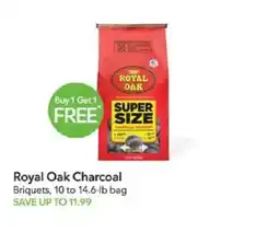 Publix Royal Oak Charcoal offer