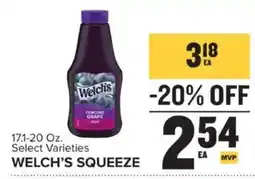 Food Lion Welch's Squeeze offer
