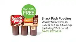 Publix Snack Pack Pudding offer