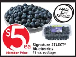 Vons Signature SELECT Blueberries offer