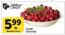 Vons Large Cherries offer