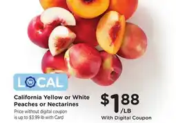 Ralphs California Yellow or White Peaches or Nectarines offer