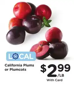 Ralphs California Plums or Plumcots offer