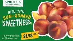 Sprouts Farmers Market Yellow Peaches or Nectarines offer