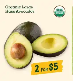 Sprouts Farmers Market Organic Large Hass Avocados offer