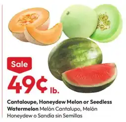 Stater Bros Cantaloupe, Honeydew Melon or Seedless Watermelon offer