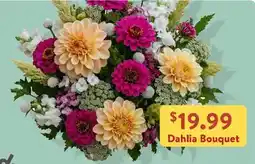 Fresh Thyme Dahlia Bouquet offer