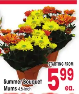 Jewel-Osco Summer Bouquet Mums offer