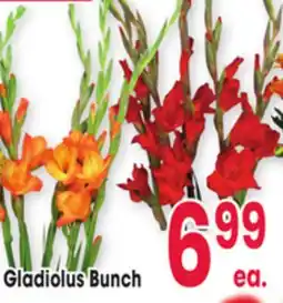 Jewel-Osco Gladiolus Bunch offer