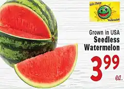 Rio Valley Market Seedless Watermelon offer