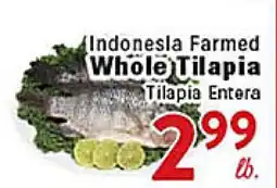 Rio Valley Market Indonesia Farmed Whole Tilapia offer