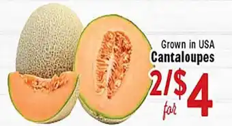 Rio Valley Market Cantaloupes offer