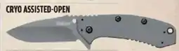 Big 5 Kershaw cryo assisted-open offer