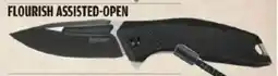 Big 5 Kershaw flourish assisted-open offer