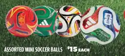 Big 5 Assorted mini soccer balls offer