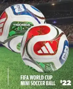 Big 5 Fifa world cup mini soccer ball offer