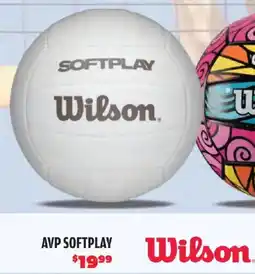 Big 5 Wilson AVP Softplay Volleyball offer