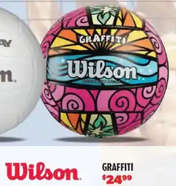 Big 5 Wilson Graffiti Volleyball offer