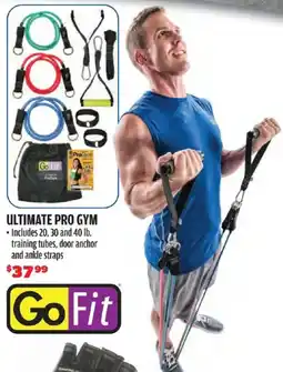 Big 5 Go Fit Ultimate ProGym offer