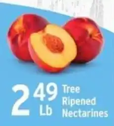 Brookshire's Tree Ripened Nectarines offer