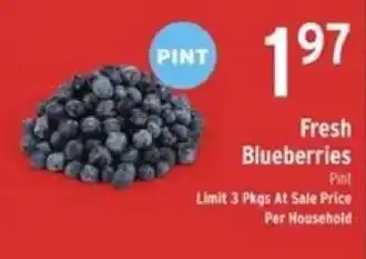 Fresh Blueberries