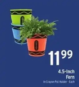 Brookshire's Crayon Pot Holder Fern offer
