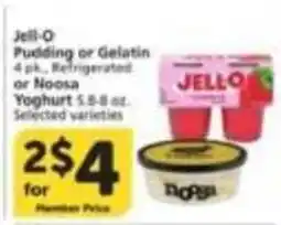 Albertsons Jell-O Pudding or Gelatin or Noosa Yoghurt offer