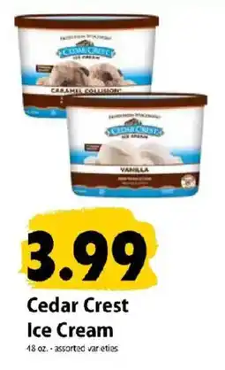 Festival Foods Cedar Crest Ice Cream offer