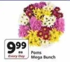 Albertsons Poms Mega Bunch offer