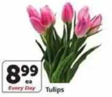 Albertsons Tulips offer