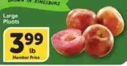 Albertsons Large Pluots offer