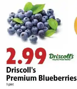 Festival Foods Driscoll's Premium Blueberries offer