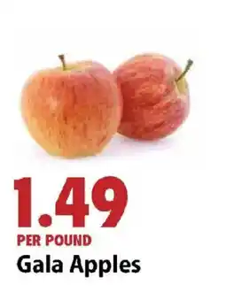 Festival Foods Gala Apples offer