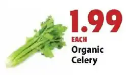Festival Foods Organic Celery offer