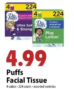 Festival Foods Puffs Facial Tissue offer