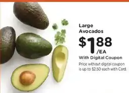 Kroger Large Avocados offer