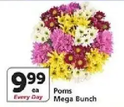 Vons Poms Mega Bunch offer