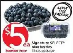 Vons Signature Select Blueberries offer