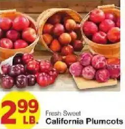 United Supermarkets Fresh Sweet California Plumcots offer