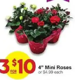 United Supermarkets 4" Mini Roses offer
