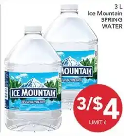 Pete's Fresh Market Ice Mountain spring water offer