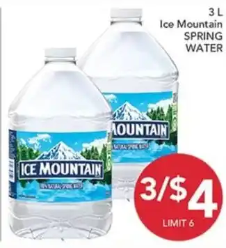 Ice Mountain spring water