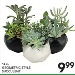 Pete's Fresh Market Geometric Style Succulent offer