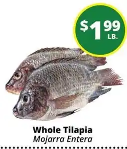 Rancho Markets Whole Tilapia offer