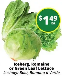 Rancho Markets Iceberg, Romaine or Green Leaf Lettuce offer