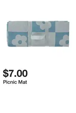 Five Below Picnic Mat offer