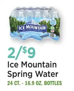 Heinen's Ice Mountain Spring Water offer