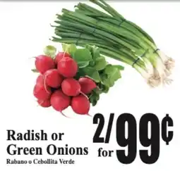 Baja Ranch Radish or Green Onions offer