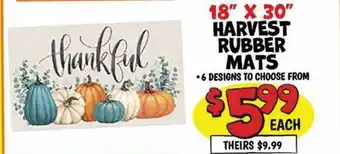Ollie's 18 X 30 HARVEST RUBBER MATS offer