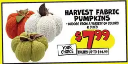 Ollie's HARVEST FABRIC PUMPKINS offer